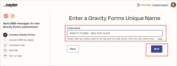 Enter a Gravity Forms Unique Name